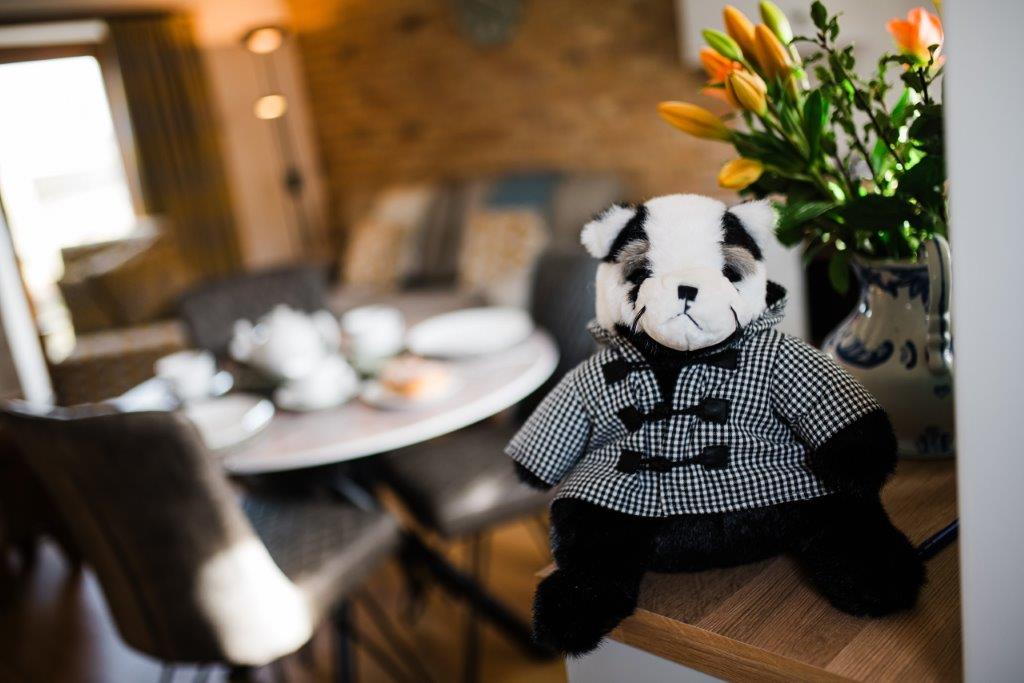 Badger Website Prof 57
